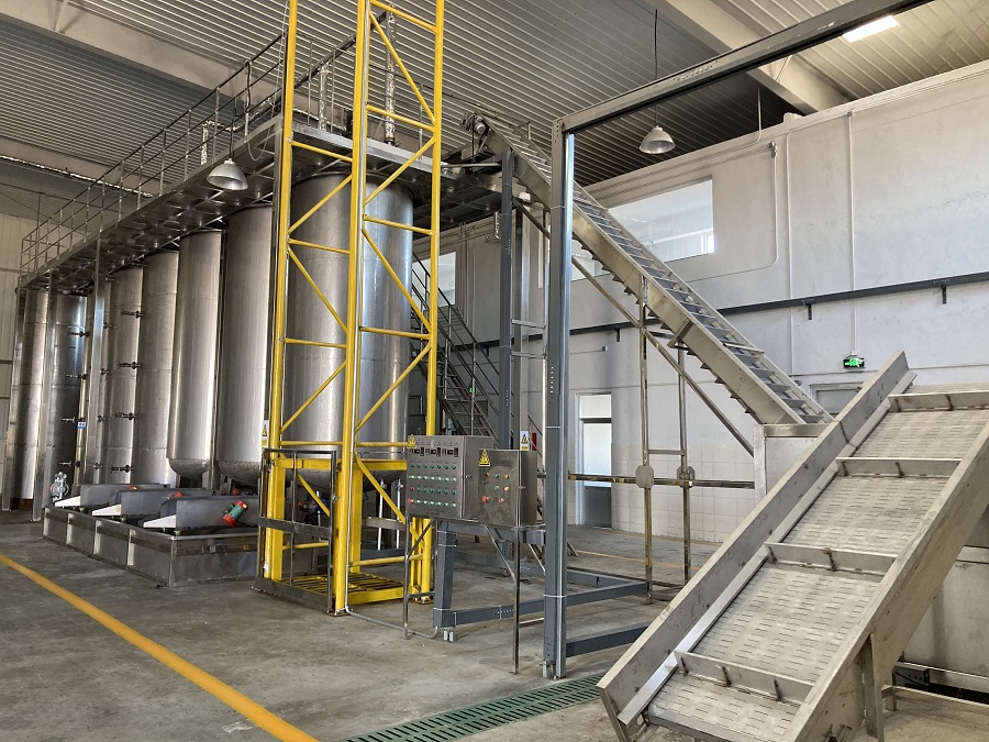 Plasma fermentation process