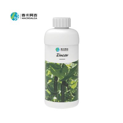 Zincav-Enhanced Anti-Virusal Disease