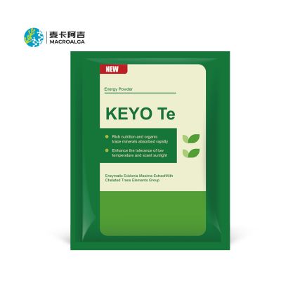 KEYO Te-Energy Powder