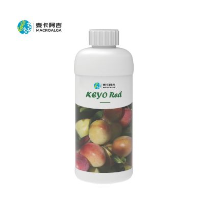 KEYO Red-Three in One, Double Effect.