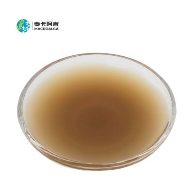 KEYO - Enzymatic Ecklonia Maxima Extract