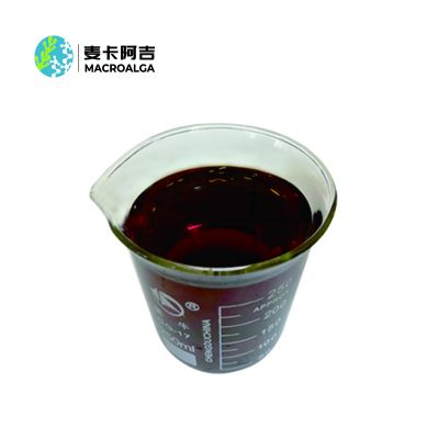 Scagassum Seaweed Extract